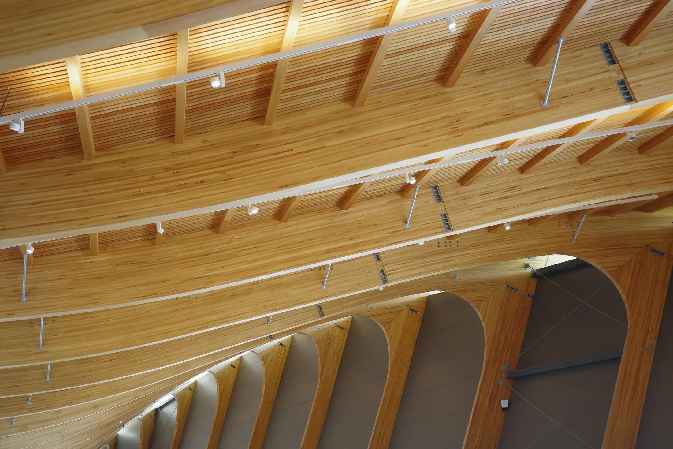 A curved timber roof structure with exposed beams